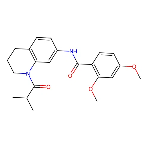 N-(1-isobutyryl-1,2,3,4-tetrahydroquinolin-7-yl)-2,4-dimethoxybenzamide structure