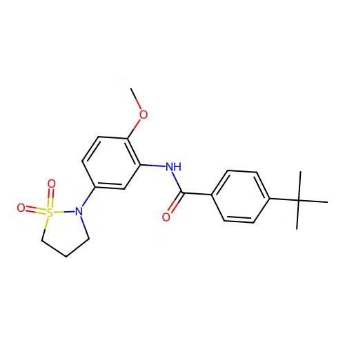 4-tert-butyl-N-[5-(1,1-dioxo-1,2-thiazolidin-2-yl)-2-methoxyphenyl]benzamide structure