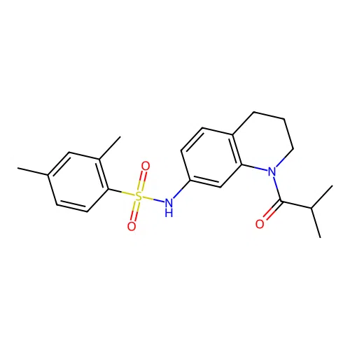 N-(1-isobutyryl-1,2,3,4-tetrahydroquinolin-7-yl)-2,4-dimethylbenzenesulfonamide structure