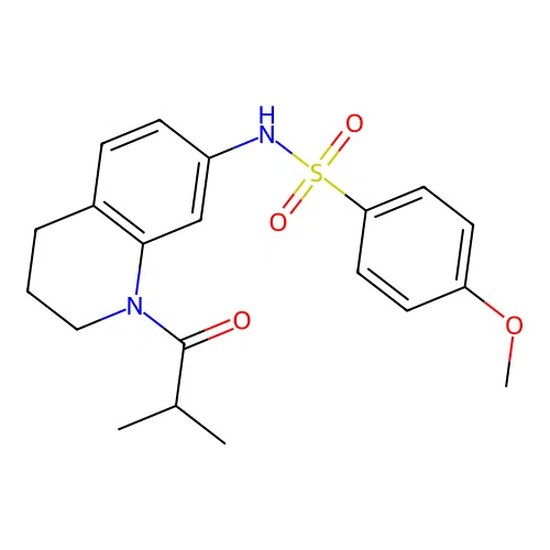 N-(1-isobutyryl-1,2,3,4-tetrahydroquinolin-7-yl)-4-methoxybenzenesulfonamide structure