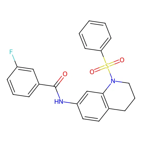 N-[1-(benzenesulfonyl)-3,4-dihydro-2H-quinolin-7-yl]-3-fluorobenzamide structure