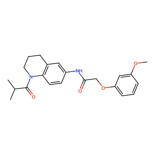 N-(1-isobutyryl-1,2,3,4-tetrahydroquinolin-6-yl)-2-(3-methoxyphenoxy)acetamide structure