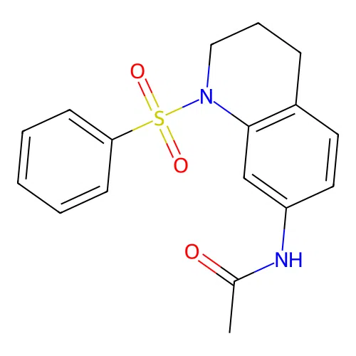 N-[1-(benzenesulfonyl)-3,4-dihydro-2H-quinolin-7-yl]acetamide structure