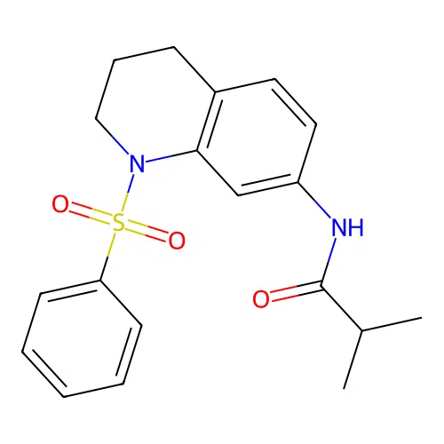 N-(1-(phenylsulfonyl)-1,2,3,4-tetrahydroquinolin-7-yl)isobutyramide structure