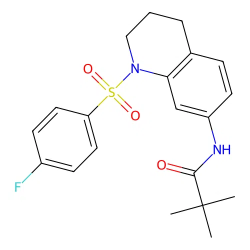 N-(1-((4-fluorophenyl)sulfonyl)-1,2,3,4-tetrahydroquinolin-7-yl)pivalamide structure