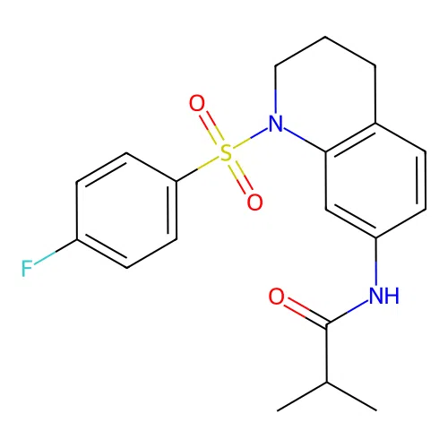 N-(1-((4-fluorophenyl)sulfonyl)-1,2,3,4-tetrahydroquinolin-7-yl)isobutyramide structure