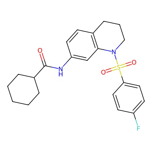N-[1-(4-fluorobenzenesulfonyl)-1,2,3,4-tetrahydroquinolin-7-yl]cyclohexanecarboxamide structure