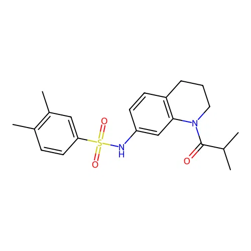 N-(1-isobutyryl-1,2,3,4-tetrahydroquinolin-7-yl)-3,4-dimethylbenzenesulfonamide structure