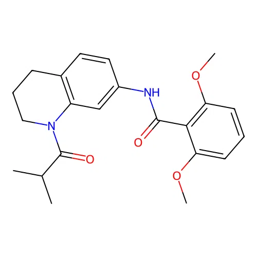 N-(1-isobutyryl-1,2,3,4-tetrahydroquinolin-7-yl)-2,6-dimethoxybenzamide structure