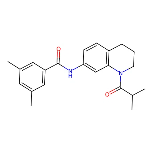 N-(1-isobutyryl-1,2,3,4-tetrahydroquinolin-7-yl)-3,5-dimethylbenzamide structure