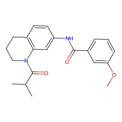N-(1-isobutyryl-1,2,3,4-tetrahydroquinolin-7-yl)-3-methoxybenzamide structure