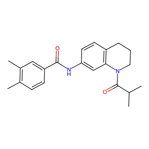 N-(1-isobutyryl-1,2,3,4-tetrahydroquinolin-7-yl)-3,4-dimethylbenzamide structure