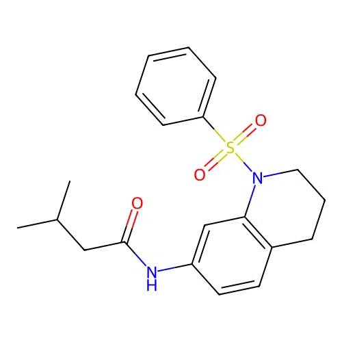 N-[1-(benzenesulfonyl)-3,4-dihydro-2H-quinolin-7-yl]-3-methylbutanamide structure