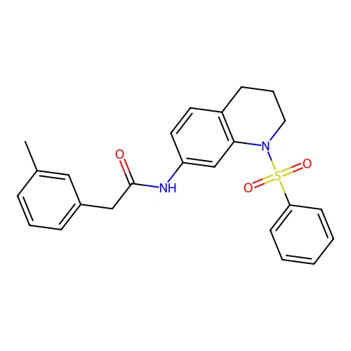 N-[1-(benzenesulfonyl)-3,4-dihydro-2H-quinolin-7-yl]-2-(3-methylphenyl)acetamide structure