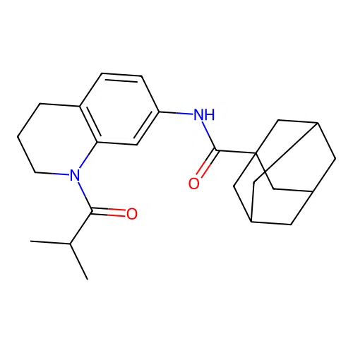 N-[1-(2-methylpropanoyl)-3,4-dihydro-2H-quinolin-7-yl]adamantane-1-carboxamide structure