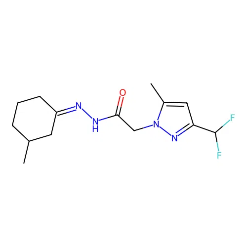 2-[3-(difluoromethyl)-5-methyl-1H-pyrazol-1-yl]-N'-[(1Z)-3-methylcyclohexylidene]acetohydrazide structure