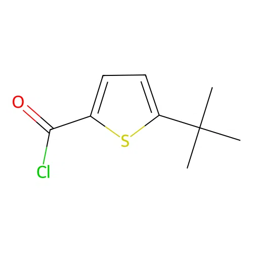 5-Tert-butylthiophene-2-carbonyl chloride structure