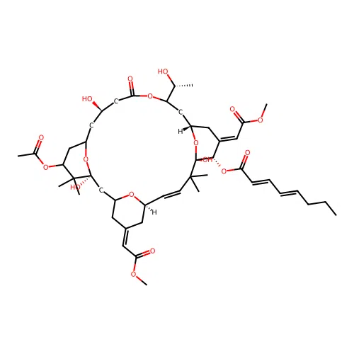 Bryostatin structure