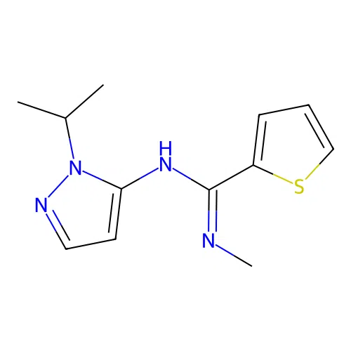 N-methyl-N'-[1-(propan-2-yl)-1H-pyrazol-5-yl]thiophene-2-carboximidamide structure