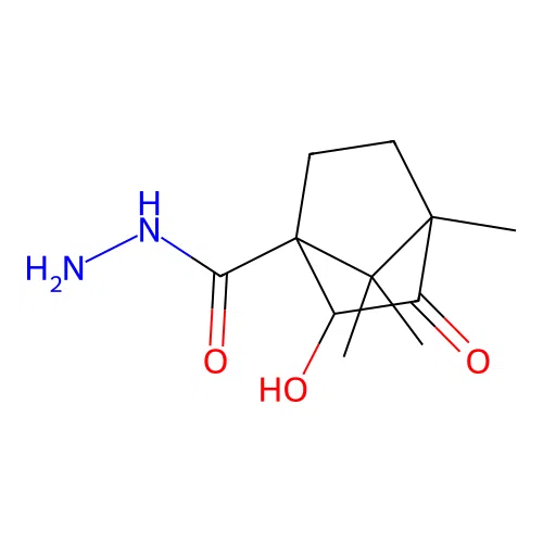 2-Hydroxy-4,7,7-trimethyl-3-oxobicyclo[2.2.1]heptane-1-carbohydrazide structure