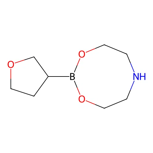 2-(Oxolan-3-yl)-1,3,6,2-dioxazaborocane structure