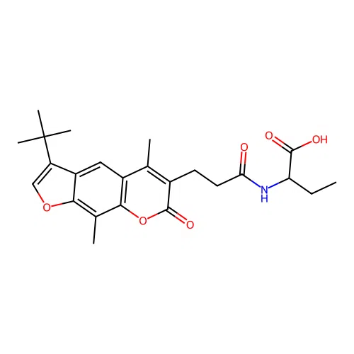 EiM07-29329 structure