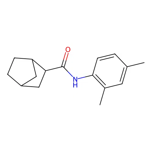 N-(2,4-dimethylphenyl)-3-bicyclo[2.2.1]heptanecarboxamide structure