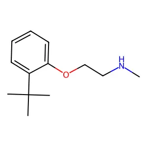 [2-(2-Tert-butylphenoxy)ethyl](methyl)amine structure