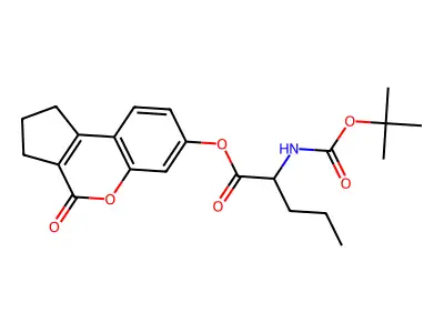 EiM07-19037 structure