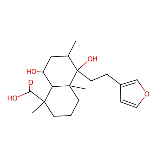 Marrubiinsaeure structure