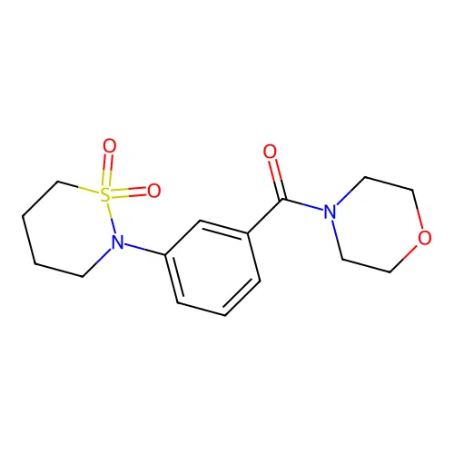 [3-(1,1-Dioxido-1,2-thiazinan-2-yl)phenyl](morpholin-4-yl)methanone structure