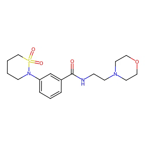 3-(1,1-dioxido-1,2-thiazinan-2-yl)-N-[2-(morpholin-4-yl)ethyl]benzamide structure