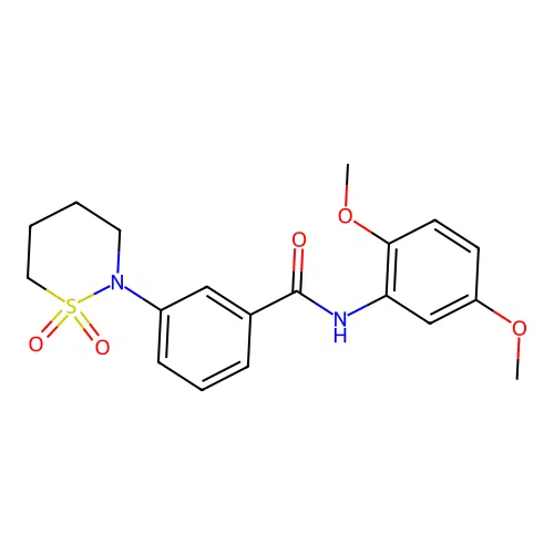 N-(2,5-dimethoxyphenyl)-3-(1,1-dioxido-1,2-thiazinan-2-yl)benzamide structure