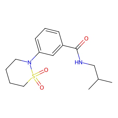 3-(1,1-dioxido-1,2-thiazinan-2-yl)-N-(2-methylpropyl)benzamide structure