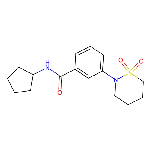 N-cyclopentyl-3-(1,1-dioxido-1,2-thiazinan-2-yl)benzamide structure