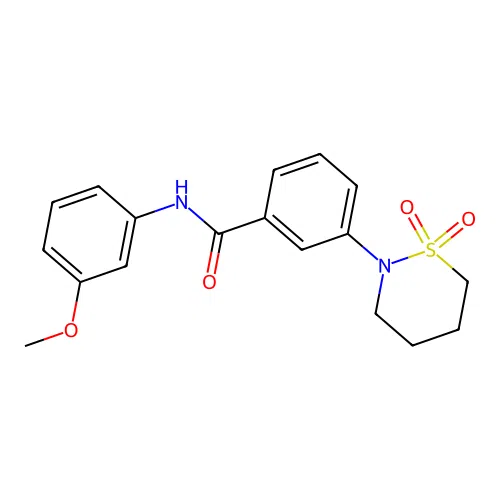 3-(1,1-dioxido-1,2-thiazinan-2-yl)-N-(3-methoxyphenyl)benzamide structure