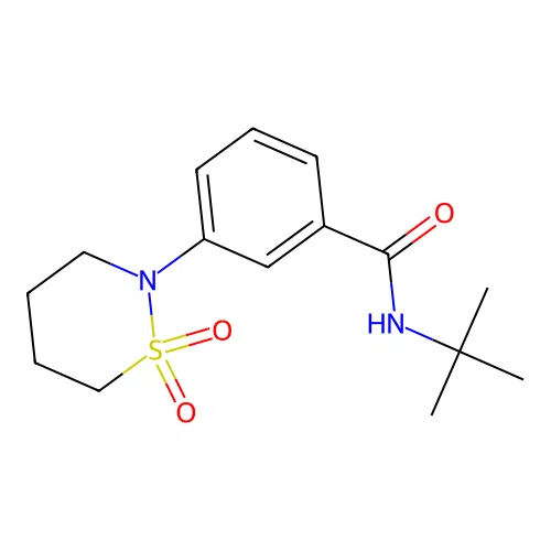 N-tert-butyl-3-(1,1-dioxido-1,2-thiazinan-2-yl)benzamide structure