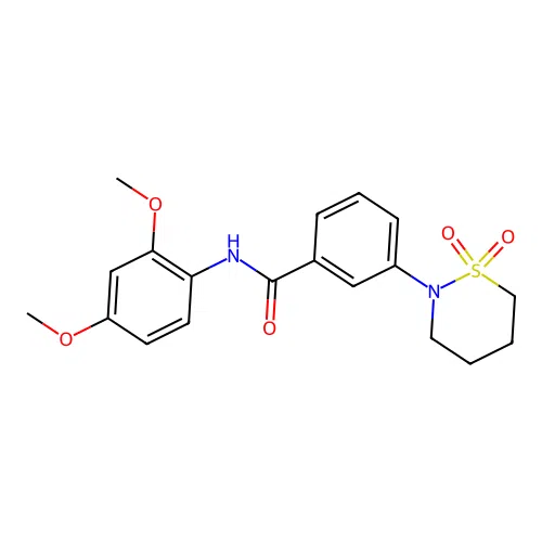N-(2,4-dimethoxyphenyl)-3-(1,1-dioxido-1,2-thiazinan-2-yl)benzamide structure