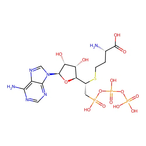 (5'-((N-Triphosphoamino)methyl)adenosyl)homocysteine structure
