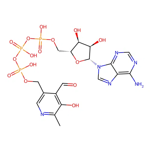 Adenosine triphosphopyridoxal structure