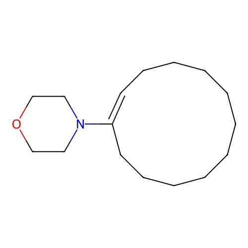 1-Morpholinocyclododecene structure