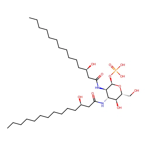 3-Aza-lipid X structure