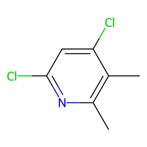 4,6-Dichloro-2,3-dimethylpyridine structure