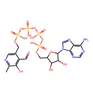 Adenosine tetraphosphopyridoxal structure