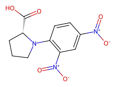 N-(2,4-Dinitrophenyl)proline structure