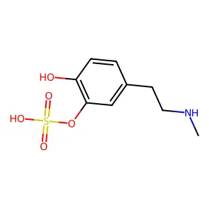 Epinine 3-O-sulfate structure