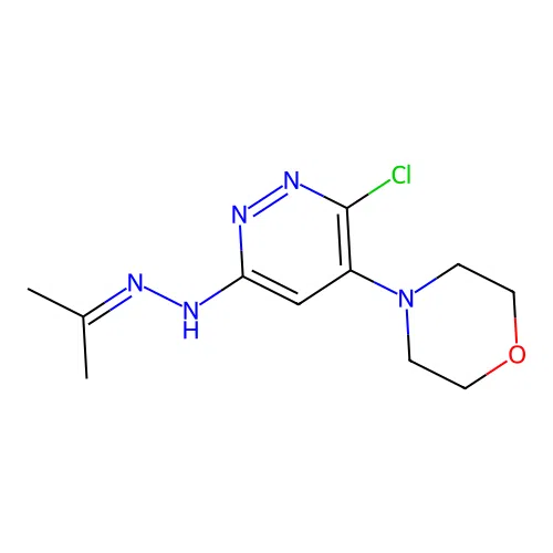 2-Propanone, 2-(6-chloro-5-morpholinopyridazin-3-yl)hydrazone structure