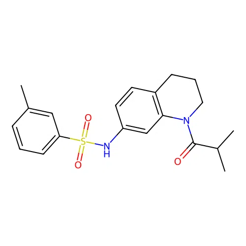 N-(1-isobutyryl-1,2,3,4-tetrahydroquinolin-7-yl)-3-methylbenzenesulfonamide structure