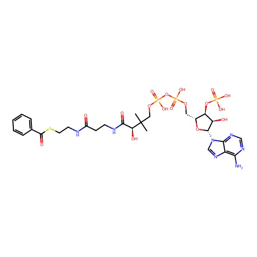 benzoyl-CoA structure