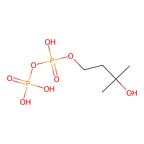 (3-Hydroxy-3-methylbutyl) phosphono hydrogen phosphate structure